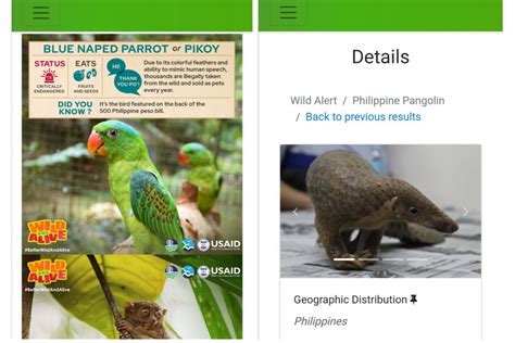 are wildlife enforcement officers happy|Philippine wildlife reporting app promises to upgrade .